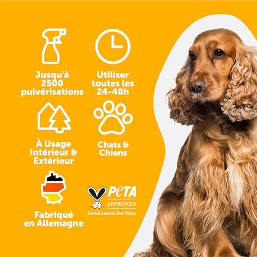 Petsly® Anti Marquage Urinaire Chat & Chien - 500ml - Non Tachant - Triple Action - Dressage & Éducation, Stop Pipi, Répulsif Chat & Chien - Usage Intérieur & Extérieur - Fabriqué en Allemagne