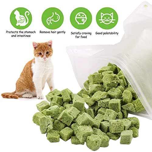 Collations pour Chats Herbe à Chat, 60g Snack pour Chat Lyophilisé pour Le Nettoyage des Dents