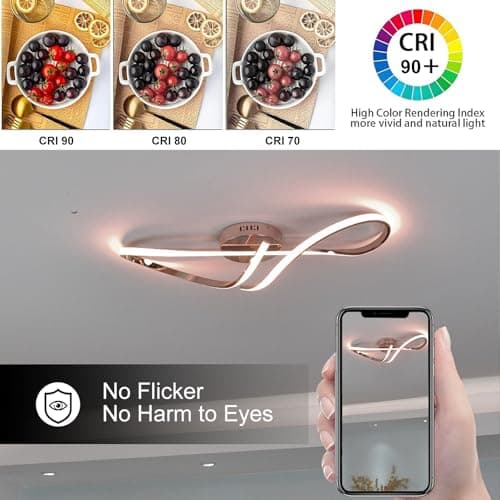 WSXEDC Dimmable LED Plafonnier, Or Moderne Chromé Processus Plafonnier Avec TéLéCommande Pour Chambre à Coucher Enfants Salon Cuisine Salle à Manger Bureau Eclairage IntéRieur 80cm