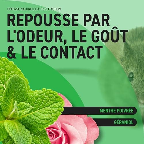 RepellShield® Répulsif Anti Souris & Anti Rat – 250ml – Menthe Poivrée Ultra Concentrée – Non Tachant – Usage Intérieur & Extérieur – Éloigne Les Rongeurs – Anti Souris et Rats Puissant