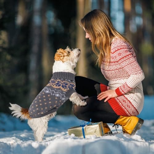 Idepet Chien Pet Pull, Hiver Chaud Chien Chat Cavaliers Vêtements, Confortable Manteau pour Animaux De Compagnie Costume Chiot Jumper Chaton Pull Vêtements pour Petits Chiens Moyens Grands Chats
