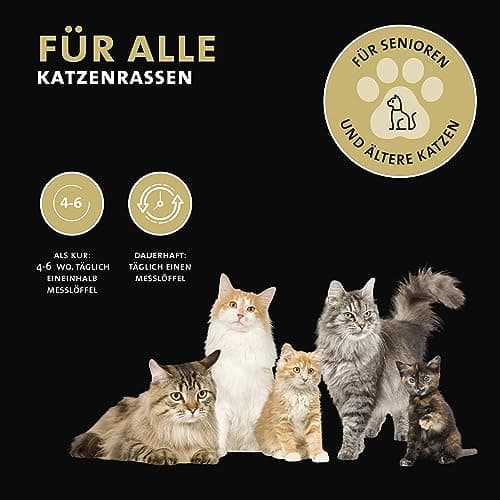 Peticare Senior Actif Vital Mix Poudre pour Chats âgés | Complément Alimentaire Naturel avec Moule Verte, MSM, Curcuma | stimule immunitaire & en Cas de carences | petCat Health 3603 (100 g)