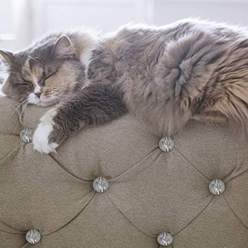 TAZEMAT 50pcs Boutons en Cristal 25 mm pour Canapé Tapisserie Strass Transparent avec Bocle en Métal pour Capitonnage Meuble Accessoire pour Décoration de Sofa et Lit avec Filet à Couture et Epingle