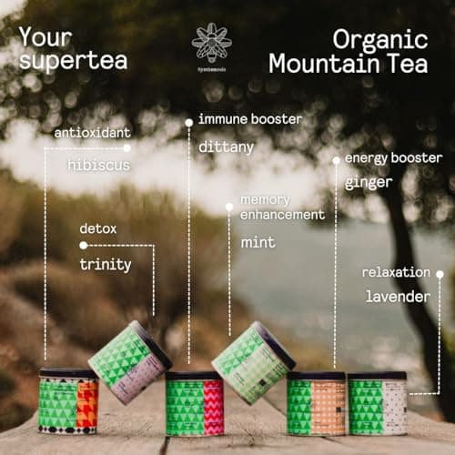 Symbeeosis Thé de montagne biologique avec Dictame, Sideritis Syriaca de Crète et Dictame stimulant immunitaire, Améliore la mémoire, Riche en antioxydants, Mélange d'herbes détoxifiant