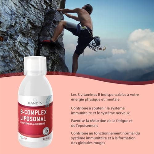 Bandini® Vitamine B Complex Liposomale 250 ml | Supplément liposomique | Complexe de Vitamines group B à dosage élevé B1, B2, B3 (niacine), B5, B6, B7, B9, B12 | B-Complex pour le système immunitaire