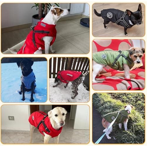 Manteau Chien avec Harnais Intégré, Manteaux d'hiver pour Chien Chaud en Polaire Impermeable, Veste Chien Hiver avec Réfléchissante pour Petits, Moyens et Grands Chiens