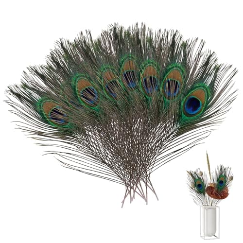 Lithyc Paquet de 30 PièCes Plume de Paon-Plumes-Plumes de Paon- Plumes de Paon Naturelles - Plumes de Paon (25-30 Cm) pour Vase Craft Home Party DéCoration de NoëL