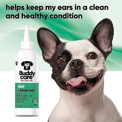 Buddycare | Nettoyant pour oreilles de chien | Solution nettoyante apaisante pour les oreilles des chiens | Ingrédients d'origine naturelle avec Aloe Vera, 200 ml (1 paquet)