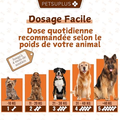 PETSUPLUS Complement Alimentaire Chien - Traitement Articulation Chiens - Chondroïtine, Glucosamine, MSM, Collagène, Acide Hyaluronique - Anti Arthrose & Douleur Articulatoires - 120 Comprimés
