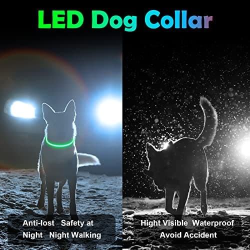 AUAUY Collier Lumineux Chien, Collier LED pour Animaux Rechargeable USB, Découpable Collier Imperméable Collier Chien Réglable pour Petits, Moyens et Grands Chat et Chien(Vert)