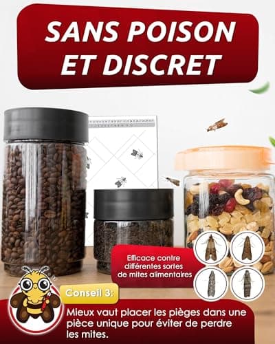 PIC Anti Mites Alimentaires – 12x Piege a Pheromone pour Cuisine et Placard | Sans insecticide, sûr pour les aliments, efficace jusqu'à 8 semaines, détection précoce dans placard et garde-manger