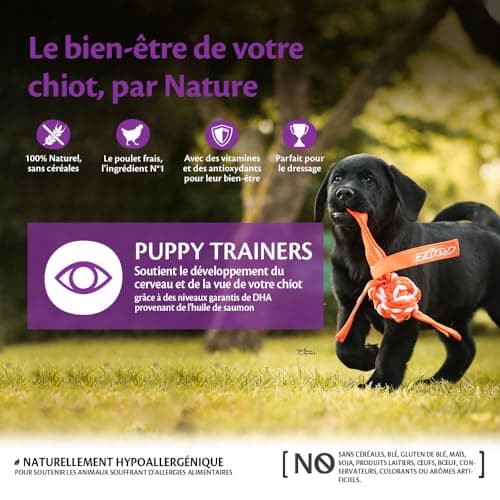 Wellness Core, Puppy Trainers, Friandises d'Apprentissage pour Chiot, Naturelles et Sans Céréales, Poulet/Carottes, sachet de 170 g