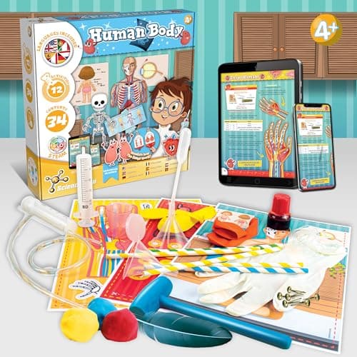 Science4you Corps Humain Kit – Découvrez Les détails du Corps Humain, Trouvez Toutes Les Curiosités des Organes, Squelette et des Systèmes avec Kit Scientifique, Cadeau pour Enfants de 4 5 6 7+