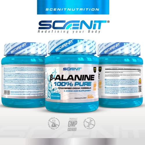 Beta Alanine - Beta Alanine Poudre - Bêta Alanine - 300 g - Beta Alanine pure - Acide aminé