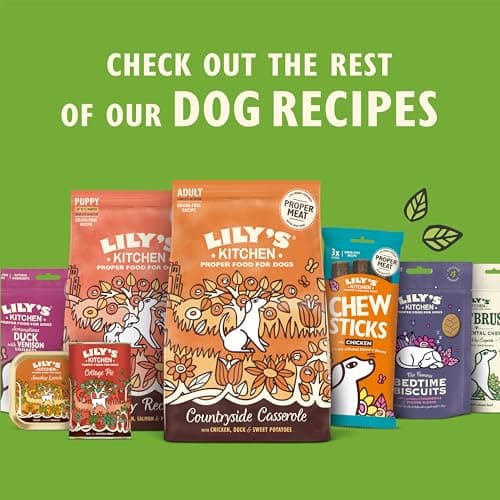 Lily's Kitchen Pâtée pour Chien Petit-déjeuner à l'anglaise 6 x 400g