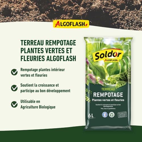ALGOFLASH Terreau Rempotage Plantes Vertes et Plantes Fleuries, UAB, Prêt à l'Emploi, Fabriqué en France, 6 L,TREMP6