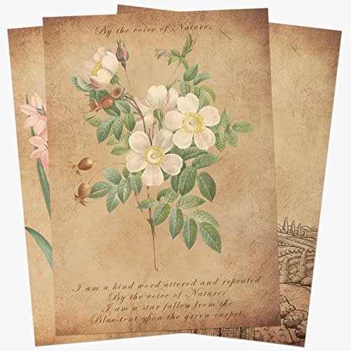 25 Feuilles Papier Parchemin Vintage Format DIN A4 pour Invitation d'anniversaire Calligraphie Imprimé Recto Verso