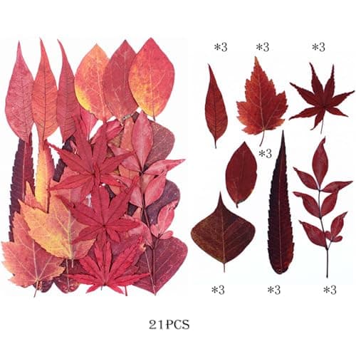 Cayway 73 Pièce Feuille D'érable Rouge Fleur Pressée Naturelle, Fleurs Pressé Séchées Naturelles Florales Naturelles Feuille de Fleurs Pressées pour Bricolage Résine Bijoux