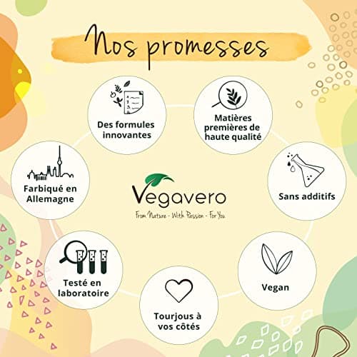 Ginkgo Biloba | Extra Fort : 6000mg | Mémoire + Circulation Sanguine | 180 Gélules | Unique : 24% Glycosides de Flavone + 6% Lactones Terpéniques | Vegan & Sans Additifs | Vegavero®