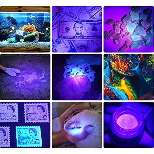 DARKBEAM Lampe Torche UV Lamp Lumière Noire 395nm rechargeable Wood's lampe, Blacklight Ultraviolet Portable Mini Torch LED avec clip, Détecteur d'urine pour animaux, Durcissement de résine, Lot de 2