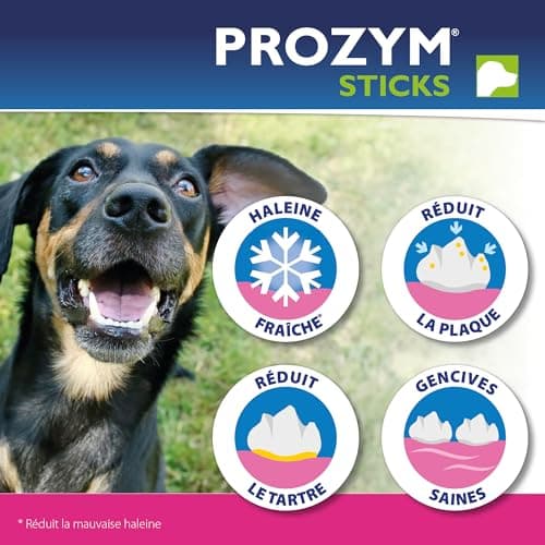 PROZYM RF2 Pack 2x12 Sticks - Spéciale Hygiène Dentaire Naturelle - Recommandé par des Vétérianire - Formule Vegan pour Chien - 24 Sticks (-25kg)