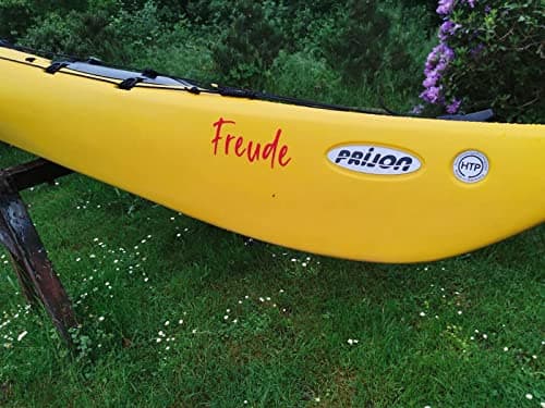 Wraplab Lettrage Nom Bateau Stickers Autocollant Personnalisable Homologué | pour Bateau, Jet Ski, Voilier, Catamaran, Rigide | Resistant Eau de mer et Soleil