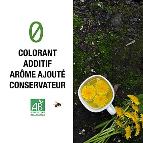 ORIGEENS TISANE PISSENLIT BIO 100g Origine Europe | Infusion pissenlit bio, tisane detox et diurétique | Feuilles de pissenlit bio
