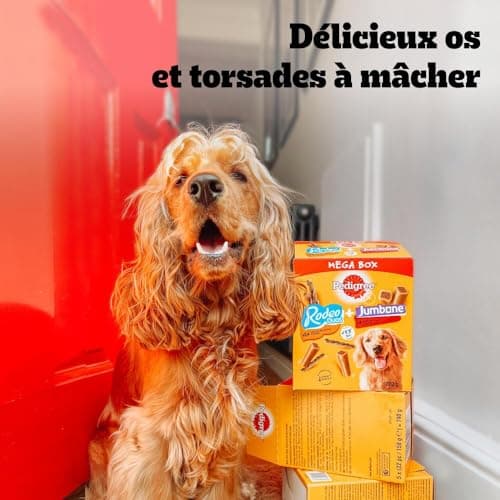 PEDIGREE MEGA BOX Récompenses - Mix Friandises Rodeo Duo 24 sticks & Jumbone 4 Os à Mâcher - 780g - Friandises Idéales pour Eduquer ou Faire Plaisir à son Chien