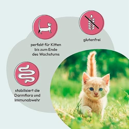 GRAU L’original Croquettes Pour Chats/chatons, Volaille Avec Super Aliments, Lot De 1 (1 x 2 kg), Sans Gluten, Pour Chatons
