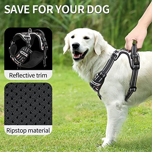 HEELE Harnais Chien, Harnais Chien Anti Traction, Réfléchissant, avec Poignée Rembourrée Contrôl, 2 Anneaux Métal, Harnais pour Petit Moyen et Grand Chien, Fleur-Noir, L