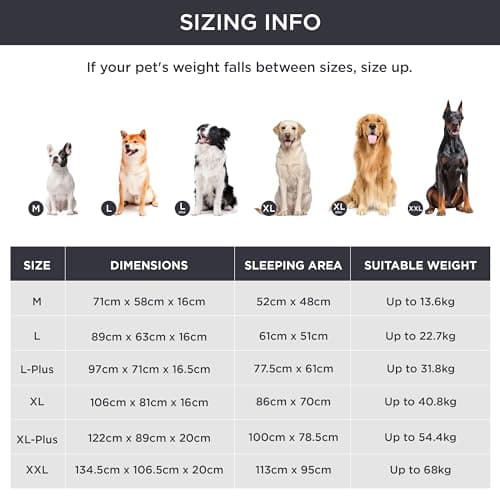 Bedsure Panier Chien Grande Taille - Canapé Chien Orthopedique et Dehoussable, Lit pour Chien Lavable, Anti-dérapant et Ultra Doux Gris, Taille 89x63x16 cm