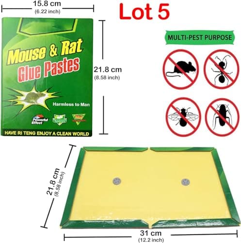 Piege a Souris, Piege a Rat,Colle Souris Piege Attrape Souris Anti Souris Plaques Collantes Souris, Plaques de glu Anti Souris Anti Rat (5pcs)