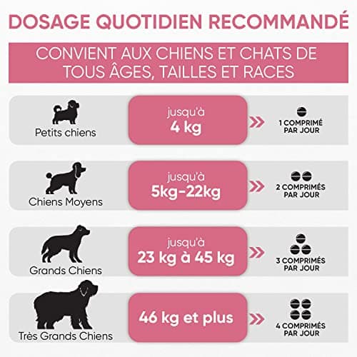Vitamine Chien & Chat 365 Comprimés - 18 Minéraux & Vitamine pour Chien : Vitamine C, D, Vitamines B, Fer, Zinc, Calcium - Pour Santé Globale, Immunité, Peau, Poil, Articulations, Os, Digestion