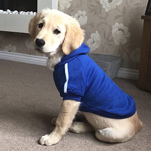 Ducomi Sweat à Capuche pour Chien 100% Coton - Manteau pour Petit, Moyen et Grand Chiens, Chihuahua, Bouledogue Français, Labrador, Pitbull et Amstaff, Pull Confortable (Bleu, 4XL)