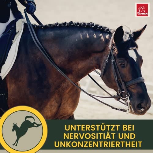 Magnésium Cheval Poudre - Calm Horse Relax Anti-Stress pour Calmer l'agitation I L-tryptophane Vitamine E - Magnésium pour Chevaux à Haute Dose Contre l'anxiété & Stress sérénité Cheval nerveux 1Kg
