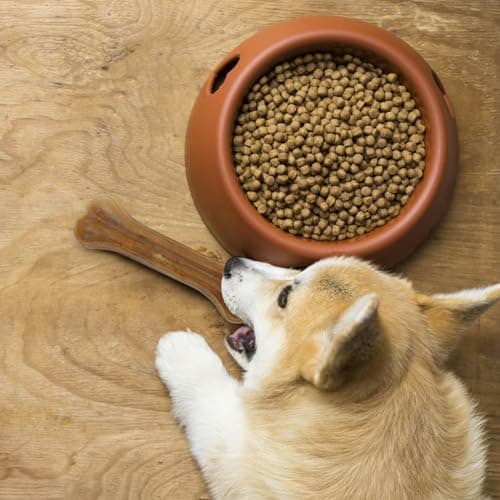 Nobleza - Rawhide Dog Chew Medium 15CM * Pack de 12, Cuir Brut Naturel à mâcher pour Chien, os pressés en Cuir Brut pour Chiot, os de Jointure Chien Moyen, Renforcement pour Les Dents