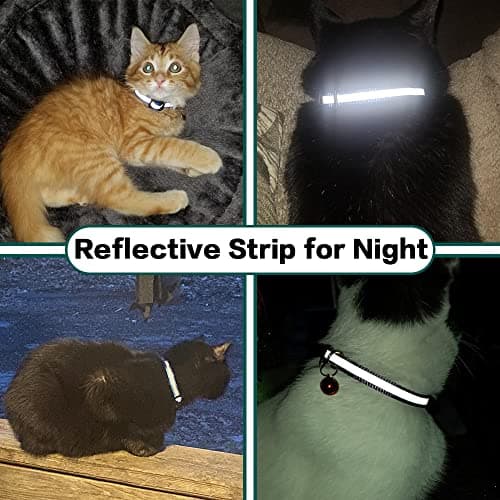 Collier Chat Airtag, Collier pour Chat Anti-étranglement avec Protecteur Airtag et Cloche, pour Toutes Les Tailles de Chats, Large de 1 Centimètres et Léger (Noir)