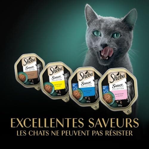 Sheba Sauce Collection Barquettes Nourriture humide pour chat adulte Sélection Mixte 4 variétés 12x85g lot de 6