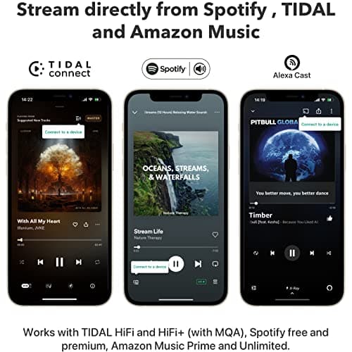 WiiM Pro Récepteur AirPlay 2, Google Cast Audio, Streamer Multi-pièces WiFi, Compatible avec Alexa, Siri et Google Assistant, Diffusion Audio Haute résolution à partir de Spotify, Amazon Music, Tidal