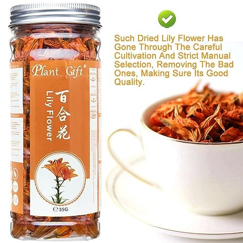 Plant Gift Fragrant Natural Lily Flowers 35G/1.23oz 百合花 Fleurs de lys, fleurs de lys séchées biologiques, thé santé, thé de lys chinois