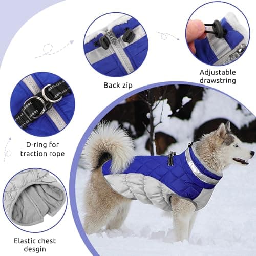 CITÉTOILE Manteau Chien, Manteau pour Petit Chien avec Harnais, Manteau d'hiver pour Chiens Imperméable et Coupe-Vent, Réfléchissant Vetement Chien pour l'hiver pour Teckel, Bouledogue,Chihuahua