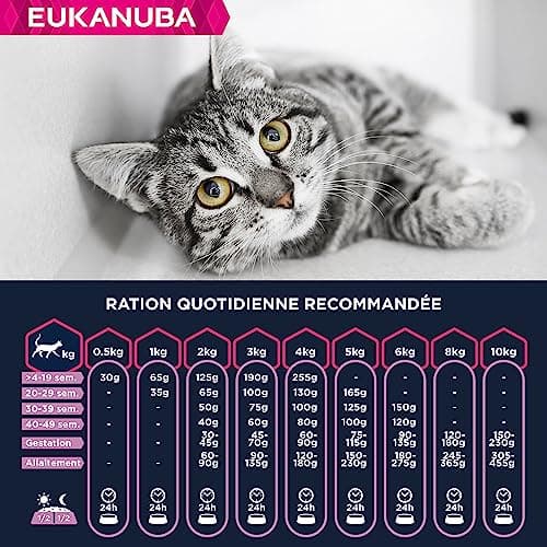 EUKANUBA Grain Free Croquettes pour Chaton - Riche en saumon - Apport en DHA, Sans OGM, colorants, arômes artificiels - 10 kg