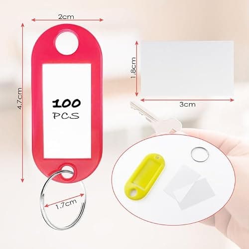 Rseuphiee 100 Pièces Porte-Clés, Étiquettes de Clé en Plastique, Inscriptibles Porte Clef Couleur en 10 Couleurs, en étiquettes d'identification avec Porte-Clé, pour Clefs, Bagages ou bureau