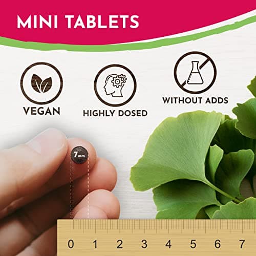 VROODY Vegan Extrait de ginkgo biloba à dose élevée - Associé à la vitamine B12, il contribue à réduire la fatigue et l’épuisement - 365 petits comprimés faciles à prendre