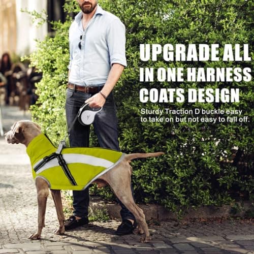 Oslueidy Manteau Imperméable pour Chien,Veste Chaude d'hiver Vêtements pour Animaux de Compagnie Coupe Manteau Chiens pour Le Petit Moyen Grande Chien (2XL, Vert)