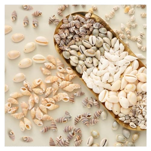 120pcs Perles de Coquillage Naturel Coquillage Conque avec Trou Spiral Perles Coquillage Decoration Perles Coquillage pour Bracelet Bijoux,Artisanat, Décoration de la Maison, Aquarium