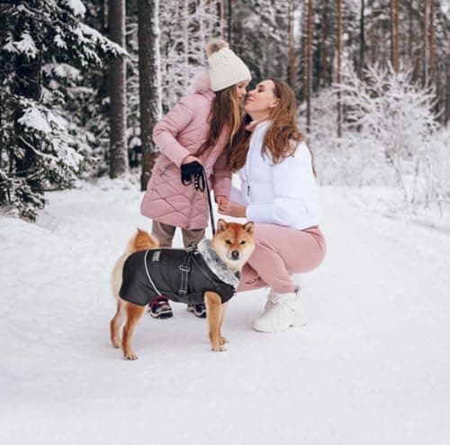 Oslueidy Chaud Chien Manteau, Veste d'animaux de Compagnie d'hiver Vêtements de Petits Chiens réfléchis Veste à Coupe-Vent Tenue de Chiens avec Harnais pour Les Petits Chiens de Taille Moyenne