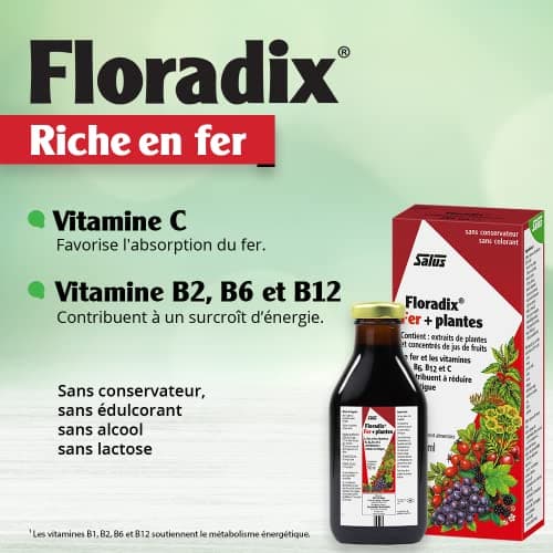 Salus Floradix Fer + Plantes - Formule Liquide Riche en Fer - Enrichi en Vitamine C pour une Meilleure Absorption - 500 ml