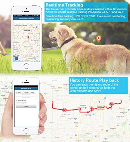 Collier GPS pour Chien sans Abonnement,Traceur GPS Chien avec Clôture de Sécurité Suivi en Temps réel de Compagnie étanche Alarme Sonore et Lumineuse TK911Pro