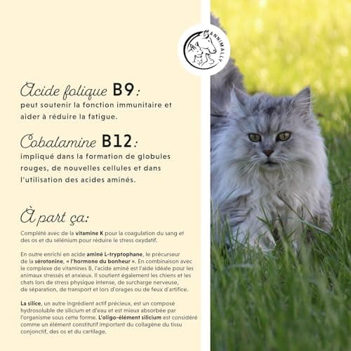 Vitamine B Complex 120 comprimés pour Chien et Chat : Vitamine B1, B2, B3, B5, B6, B9, B12 - Vitamines et compléments pour Chiens et Chats - Vitamine pour Chien - Vitamine Chat
